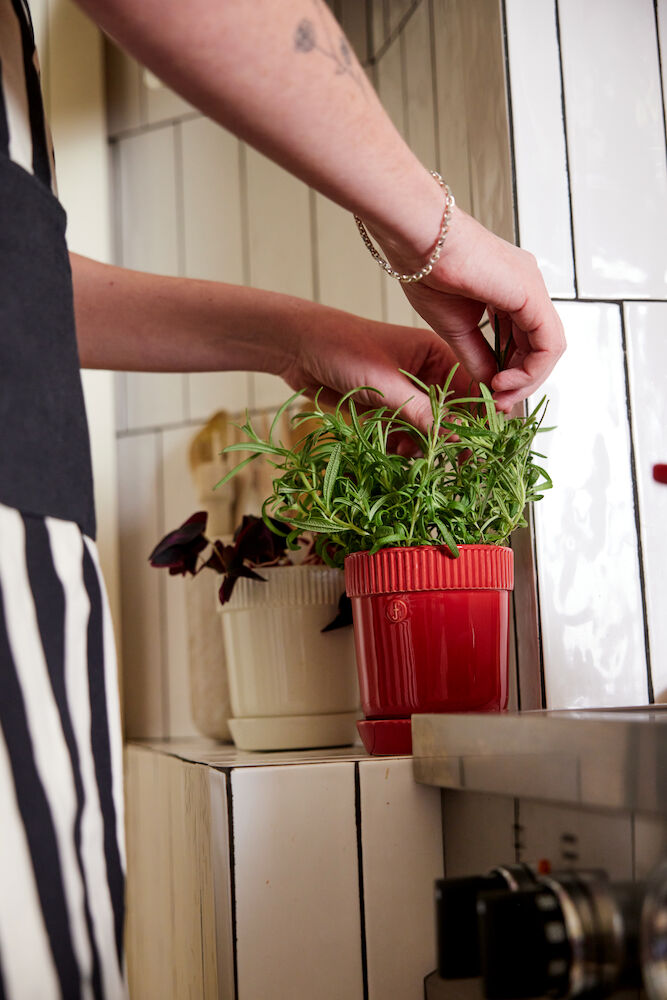 5018510_5017704_5018402_1